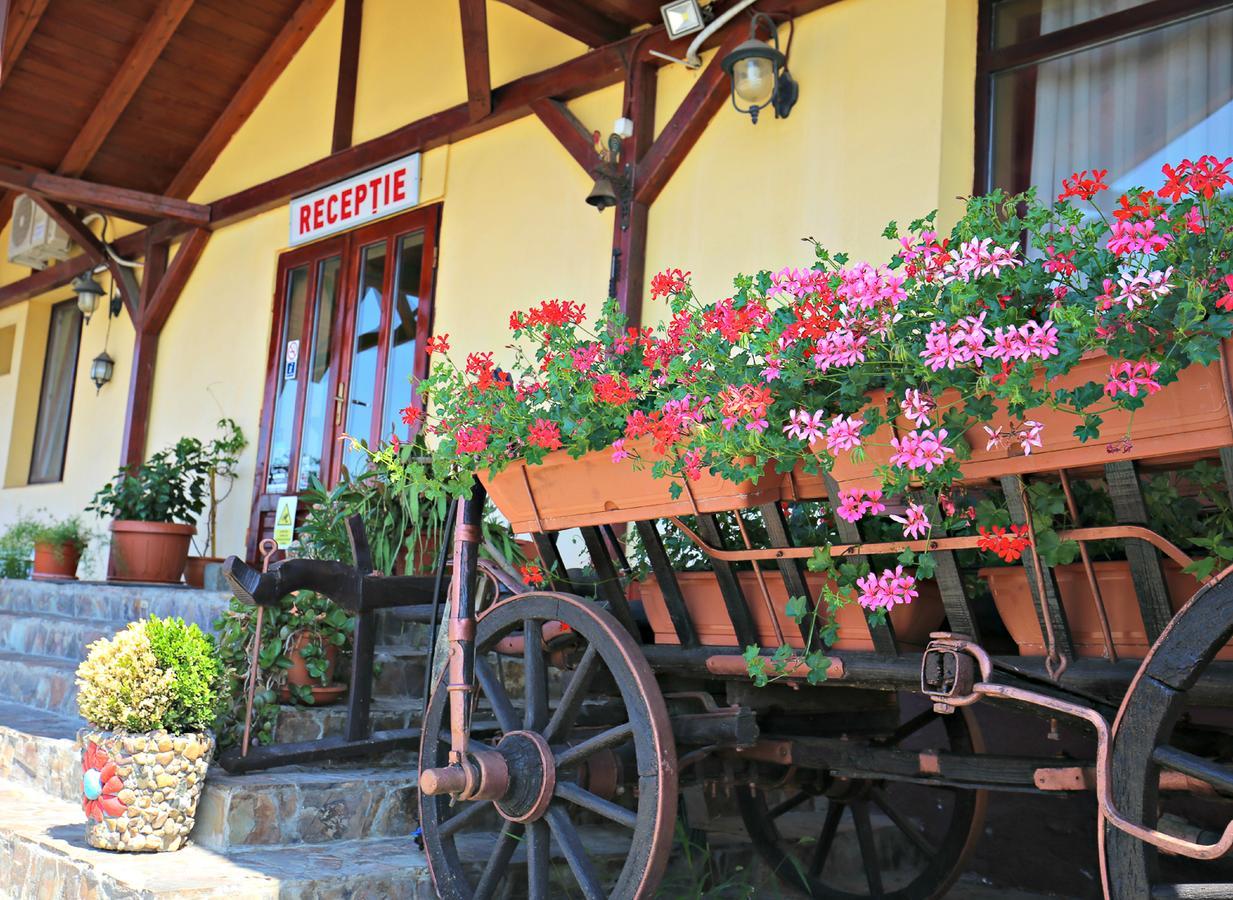 Pension Varadia Nagyvárad Kültér fotó